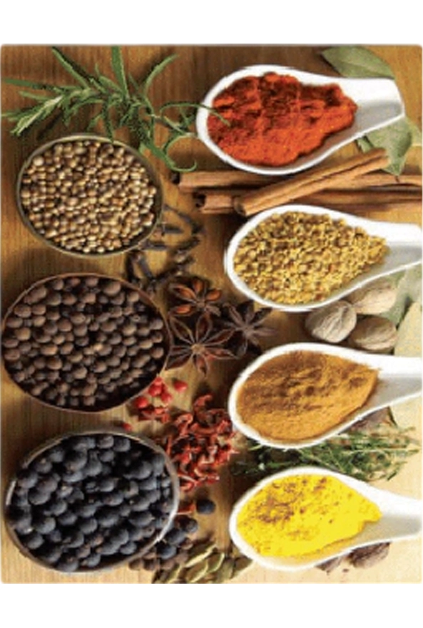 فرشینه و قالیچه فانتزی مناسب آشپزخانه برند دفه کد ZED APZ 852