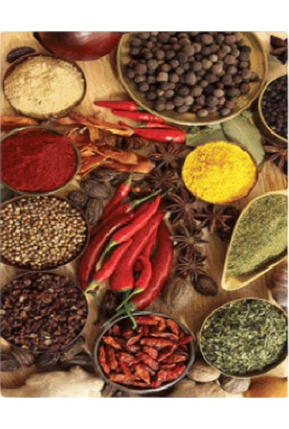 فرشینه و قالیچه فانتزی مناسب آشپزخانه برند دفه کد ZED APZ 855