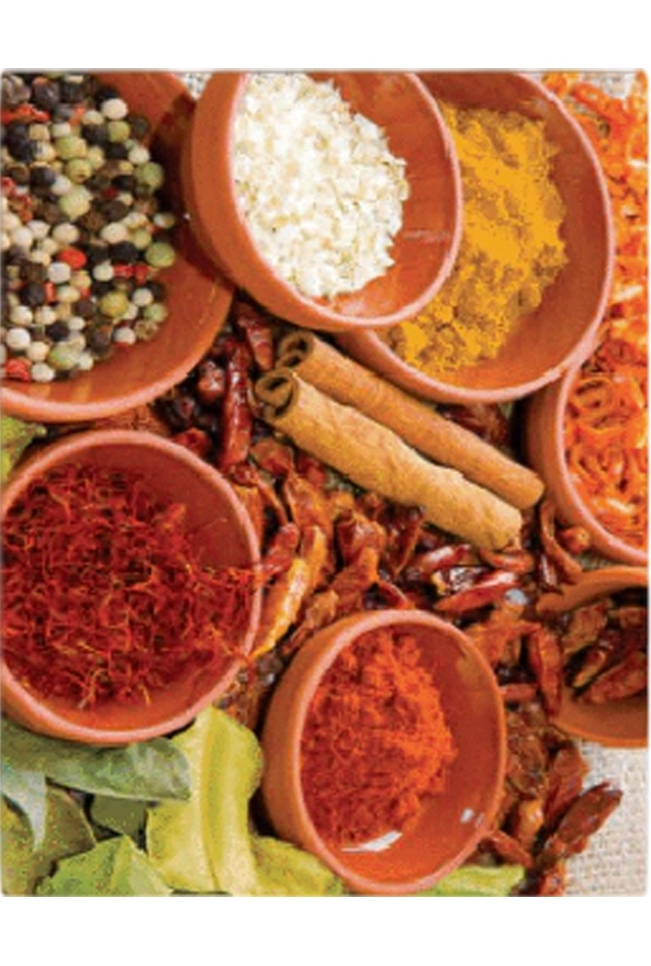 فرشینه و قالیچه فانتزی مناسب آشپزخانه برند دفه کد ZED APZ 859