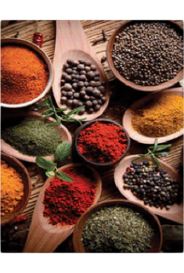 فرشینه و قالیچه فانتزی مناسب آشپزخانه برند دفه کد ZED APZ 861