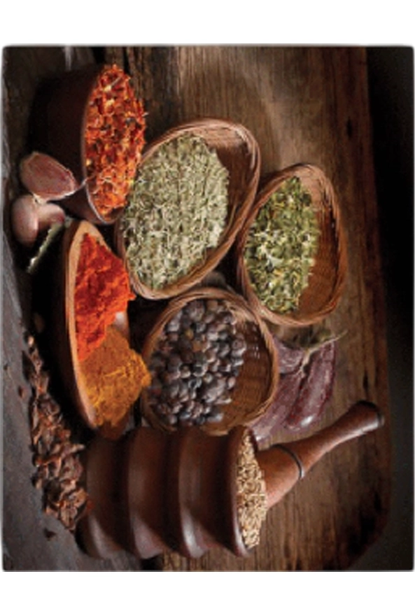 فرشینه و قالیچه فانتزی مناسب آشپزخانه برند دفه کد ZED APZ 863