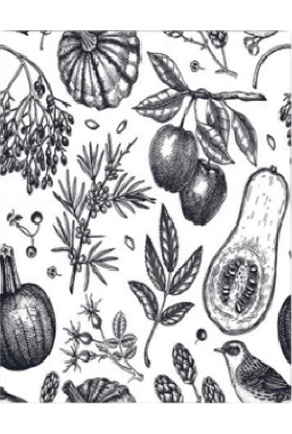 فرشینه و قالیچه فانتزی مناسب آشپزخانه برند دفه کد ZED APZ 869