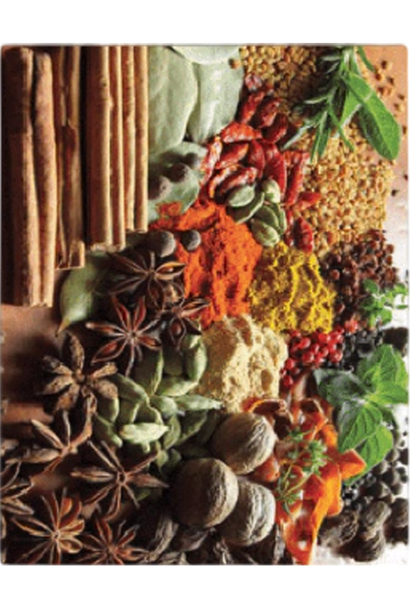 فرشینه و قالیچه فانتزی مناسب آشپزخانه برند دفه کد ZED APZ 873