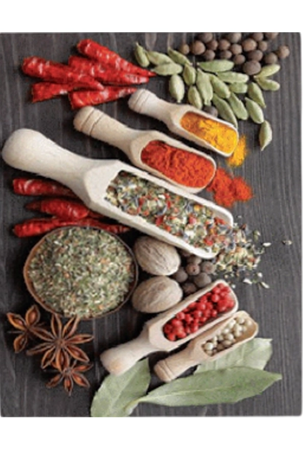 فرشینه و قالیچه فانتزی مناسب آشپزخانه برند دفه کد ZED APZ 872