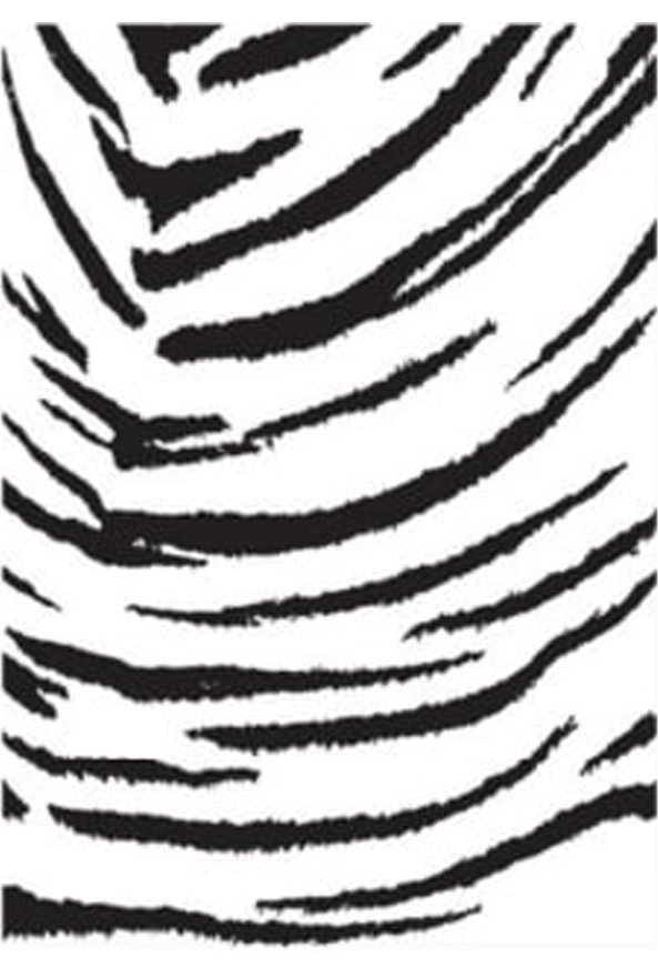 فرشینه طرح پوست مناسب حال و پذیرایی برند دفه کد ZED PS 984