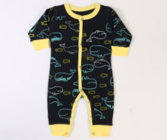 سرهمی baby