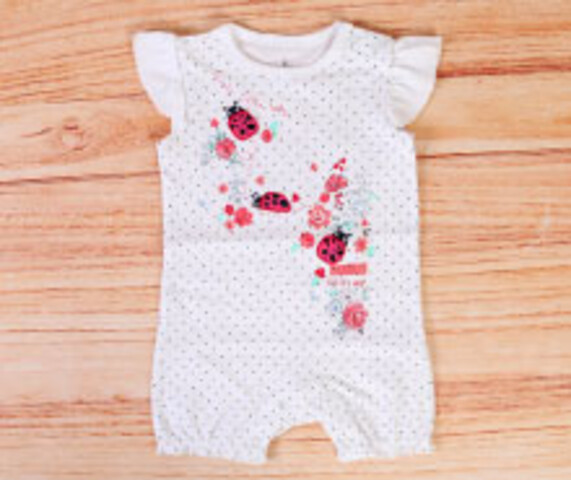 رامپر کارترز carters