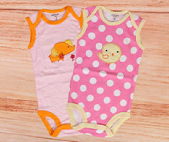 بادی کارترز carters