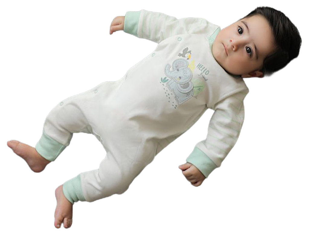 سرهمی نوزادی طرح فارست نی نی سان nini sun