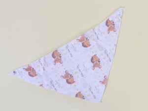 پیشبند دستمال گردنی carters