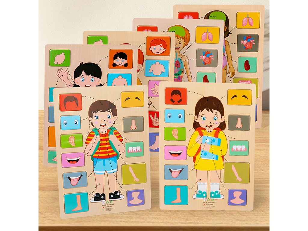 پازل چوبی شناخت اعضای بدن انسان اسباب بازی