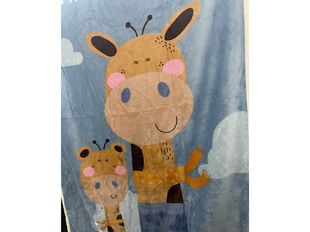 پتو رویه مخمل نوزادی عروسکی