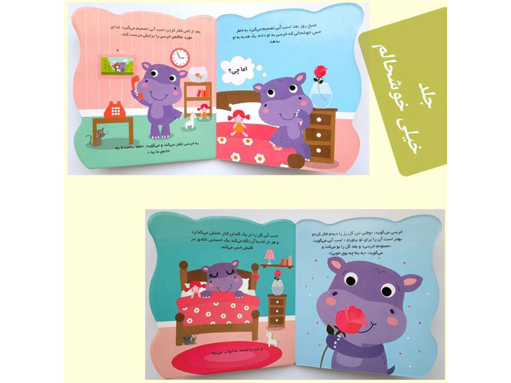 کتاب احساسات من انتشارات راز بارش