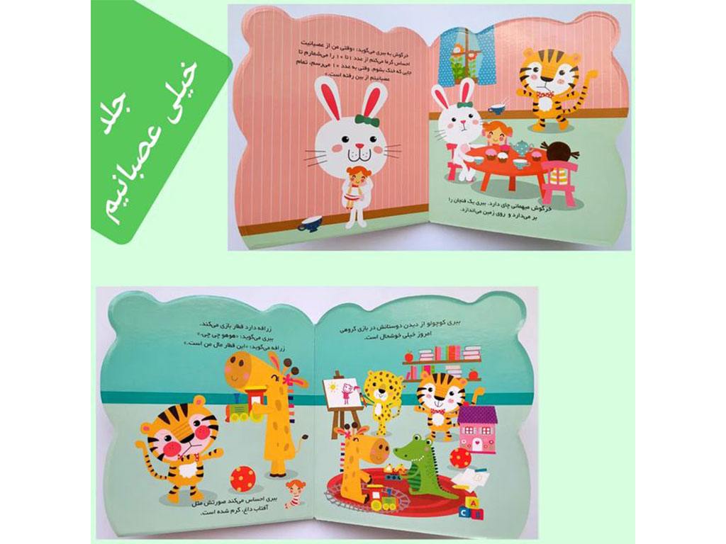 کتاب احساسات من انتشارات راز بارش