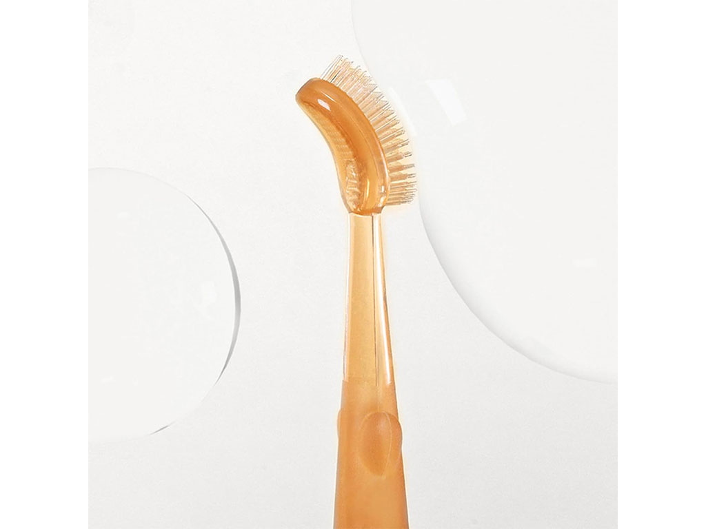 مسواک پا دار آموزشی 3 عددی طرح شاخه گل