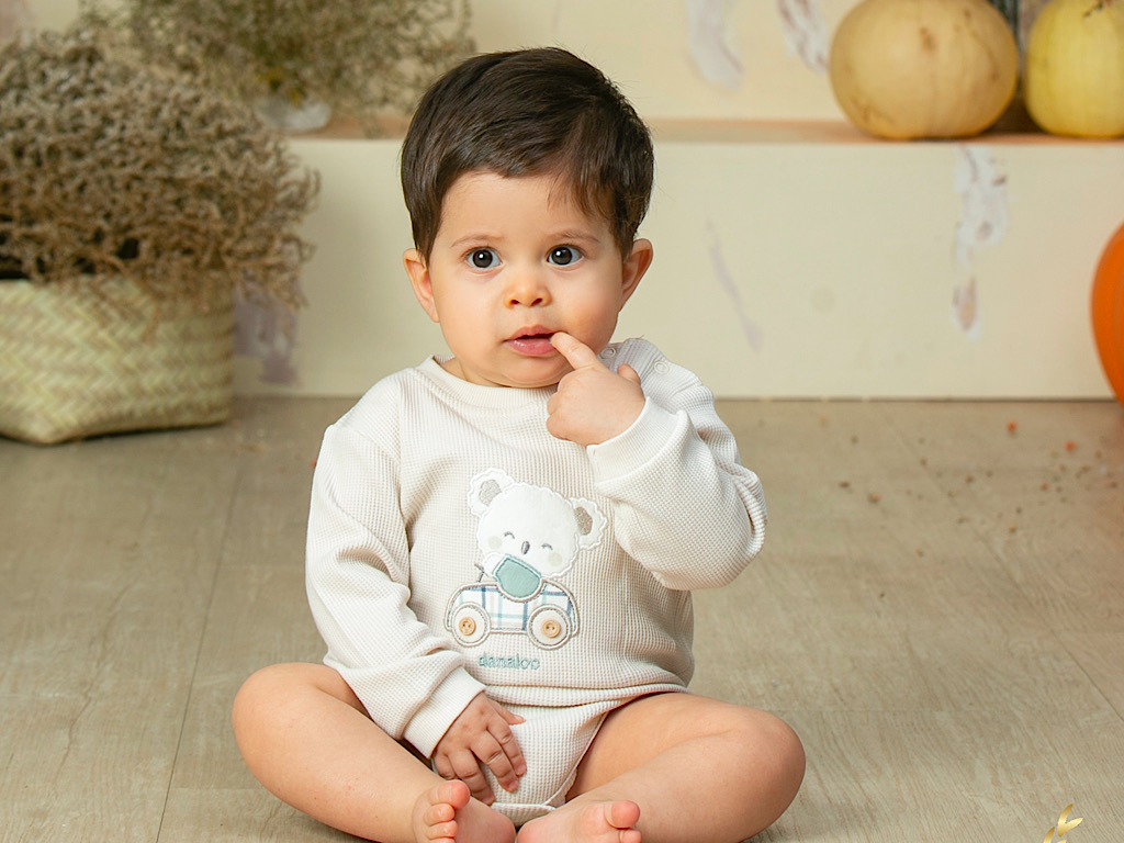 بادی آستین بلند نوزادی طرح koala pino  دانالو Danaloo