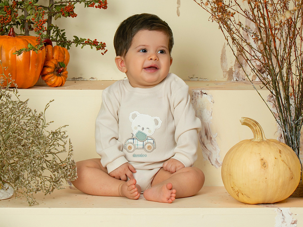 بادی آستین بلند نوزادی طرح koala pino  دانالو Danaloo