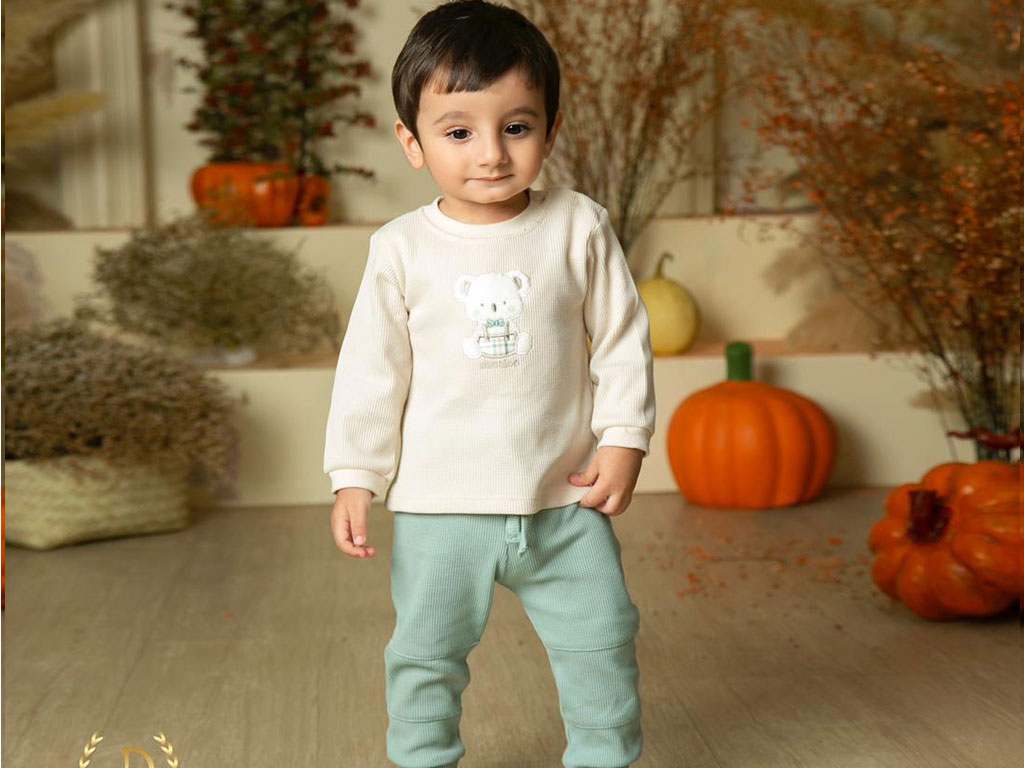 بلوز آستین بلند نوزادی طرح koala pino  دانالو Danaloo