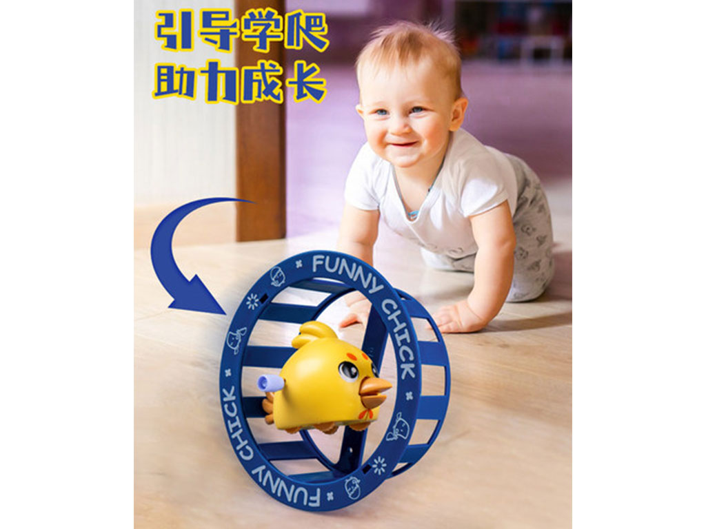 جوجه چرخ و فلکی کوکی