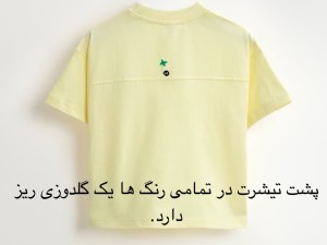 تیشرت یقه گرد آبی رنگ بشیر Bashir