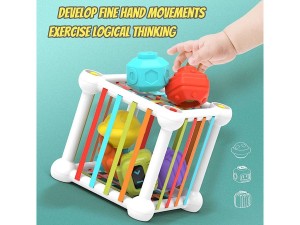 مکعب هوش چند منظوره  magic cube