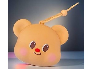 قاب پستانک تمام سیلیکونی زیپی و  آویز دار طرح تدی butterbear