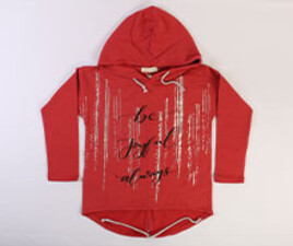 هودی کلاهدار zelish