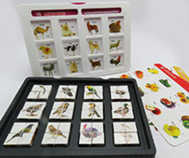 پازل هوش چین مکعب های باهوش