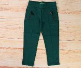 ساق شلواری cichlid