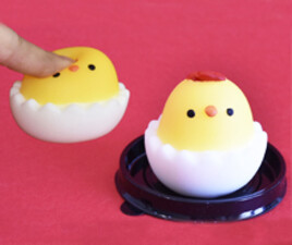 نرمالو جوجه