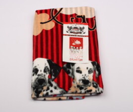 حوله استخری