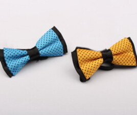 پاپیون Minidamla ترکیه