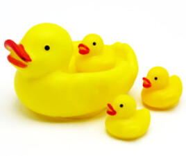 پوپت حمام اردک و جوجه ها