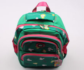 کوله پشتی (دارای رنگبندی)