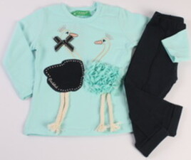 بلوز و ساق cichlid ترکیه