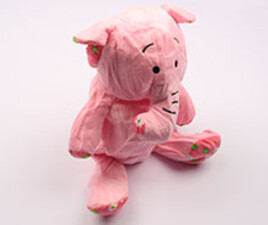 کوله پشتی (دارای رنگبندی)