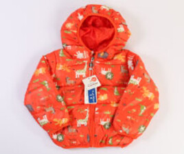 کاپشن tian zong