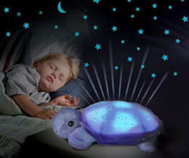 لاکپشت پولیشی شبخواب