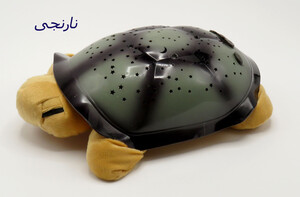 لاکپشت پولیشی شبخواب