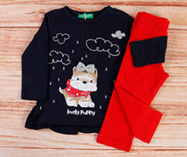 بلوز و ساق cichlid