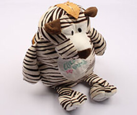 کوله پشتی پولیشی (دارای رنگبندی)