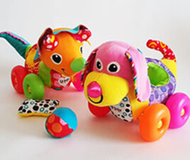 راهبر پولیشی حیوانات