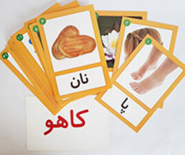 سین شین مقدماتی ( مقدمه ای بر یادگیری خواندن فارسی)