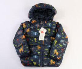 کاپشن tian zong