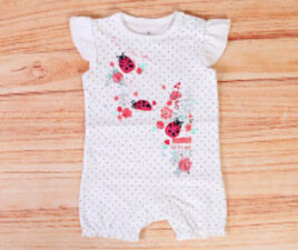 رامپر کارترز carters