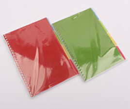 برگه کلاسور یدک