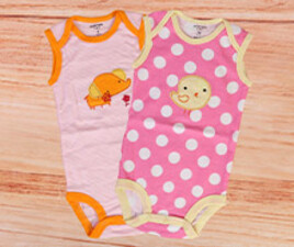 بادی کارترز carters