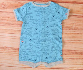 رامپر کارترز carters