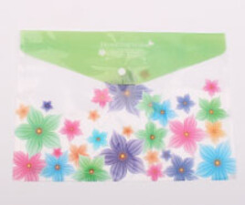 پوشه دکمه دار