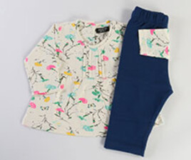 تونیک و ساق guess